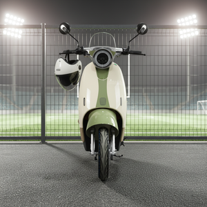 Scooters électriques CKD SKD 10 pouces, prix de gros du fabricant, 600/800W, vitesse 45 km/h, cyclomoteur électrique fourni par l'usine - Product Image 1