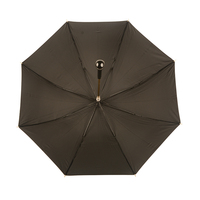 Hochwertiger doppels chich tiger Luxus-Skelettgriff-Persönlichkeit schirm Gentleman Straight Rain Umbrella