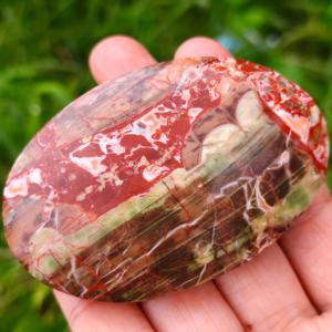 Pierre de palmier en agate naturelle polie en gros pour la décoration intérieure et les cadeaux de la Saint-Valentin - Product Image 3