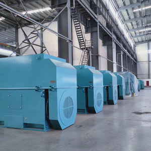 Moteur haute tension 315 kW - Product Image 2