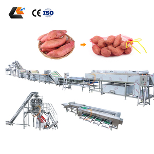 Laveuse de carottes, Trieuse de patates douces, Laveuse de légumes, Nettoyeur à rouleaux, Ligne d'emballage en sacs en filet pour légumes racineux - Product Image 3