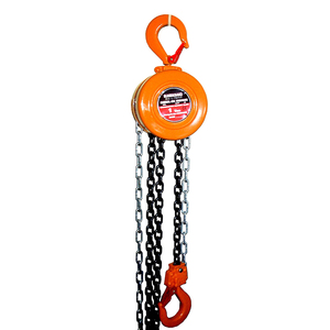 Paranco a catena KAWASAKI da 1 tonnellata, 5m, nuovo, per sollevamento, con puleggia in metallo, per produttori e fornitori di paranchi - Product Image 3