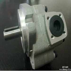Pompe à engrenages de précision spéciale Tianjin 8mlr, montée verticalement ou latéralement, pour système hydraulique - Product Image 4