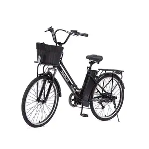 26" Woman Beach Cruiser Electric Vintage Bikes Citybike Electric City Bike