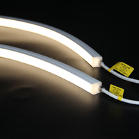 Luz Ambiental Inmersiva de Alta Luminosidad para Iluminación Arquitectónica Exterior a Gran Escala, Tira de Silicona de Neón Extra Ancha 2020
