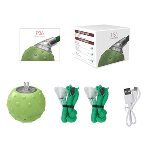 BENTOPAL Çevre Dostu 5cm Plastik Silikon Kedi Köpek Oyuncağı Kuş Sesi Çıkaran Küçük Oyun Kutusu İnteraktif Evcil Hayvan Hareketli Oyuncak Paketli - Product Image 6