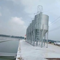 Silo per Cereali e Mangimi Industriale di Alta Qualità in Vendita, Costruzione in Acciaio Resistente per Magazzino