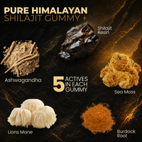 Gummies de Shilajit de l'Himalaya avec Ashwagandha, Sea Moss, Lion's Mane, 105+ Oligo-éléments, Marque Privée OEM