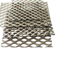 Malla Metálica Expandida de Níquel de 5 mm de Ancho, 2.8 mm de Espesor, Rosca de 0.8 mm, Plana de 0.5 mm de Grosor para Electrodos AEM