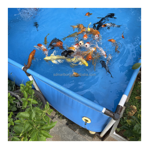 Tanques Cuadrados de PVC Resistentes para Cría de Cangrejos de Río, Equipo de Acuicultura, Estanques para Cría de Cangrejos, Cultivo de Peces en Interiores/Exteriores - Product Image 4