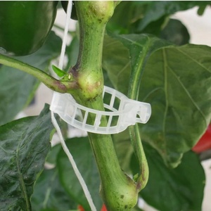 Clips en plastique pour tomates, supports <span class=keywords><strong>de</strong></span> treillis pour plantes grimpantes <span class=keywords><strong>de</strong></span> jardin, pour la culture <span class=keywords><strong>de</strong></span> légumes en serre - Product Image 1