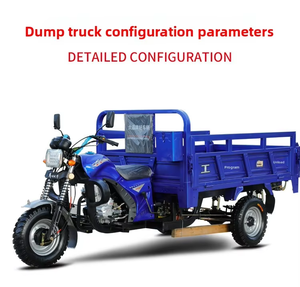 Tricycle motorisé à trois roues ouvert avec capacité de 4000 kg et moteur de 250/300 cm³ - Product Image 2