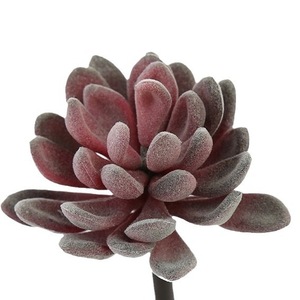 Pilihan sukulen buatan Mini, berbagai jenis sukulen imitasi tanpa pot, dekorasi rumah pengaturan bunga Agave Echeveria - Product Image 2