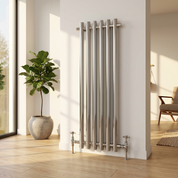 Radiateur vertical sur mesure, économe en énergie, installation facile, design mural flexible pour salle de bain moderne, OEM à vendre