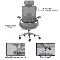 Chaise de bureau ergonomique contemporaine pour cadre, dossier haut en maille grise avec accoudoirs réglables, hauteur réglable et soutien lombaire