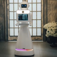 Robot de photographie humanoïde AI Amy Plus dans la cabine photo pour l'hôtel/supermarché/aéroport TrainStation