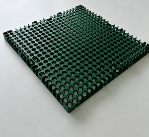 Módulo de Celda de Drenaje de 30 mm, Celda de Drenaje de Plástico para Jardín en Azotea, <span class=keywords><strong>Plaza</strong></span>, Sistema de Drenaje Subterráneo para Base de Césped Artificial en Azotea - Product Image 1