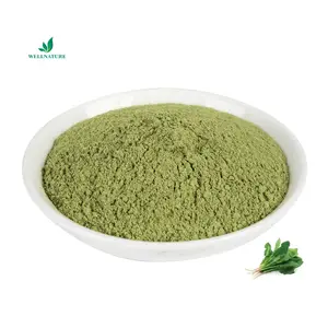 Natural bulk Spinach Powder Spinach Freeze-dried Spinach Concentrate Powder