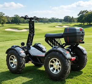 21 <strong>Inch</strong> off Road 10000W 4WD <strong>Electric</strong> <strong>Quad</strong> ATV with Shaft Drive - Product Image 2