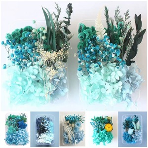 <span class=keywords><strong>Flores</strong></span> Secas Prensadas DIY para Artesanías con <span class=keywords><strong>Flores</strong></span> <span class=keywords><strong>Preservadas</strong></span> Mixtas, Velas, Resina, Joyería, Uñas, Colgantes, Tarjetas, Bodas - Product Image 1