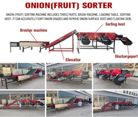 Knoflook sorteermachine groente- en fruitsorteermachine sorteermachine voor massaproductie sorteerapparaat voedingsmiddelenmachines