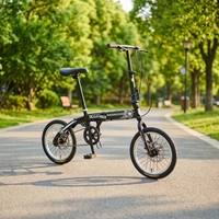 Mini vélo pliant/vélo pliant à une vitesse de 16 pouces pour adultes/vélo pliant pas cher