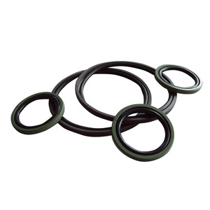 Nén đúc <span class=keywords><strong>PTFE</strong></span> spgo Piston con dấu xi lanh thủy lực sửa chữa Kit nhiệt độ cao - Product Image 3
