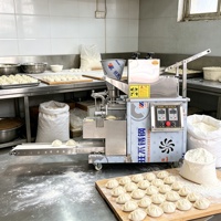 Machine à raviolis de table professionnelle compacte pour petites entreprises