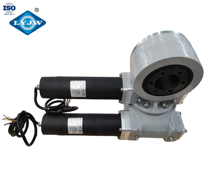 Factory Supply Enclosed Worm Gear Dual