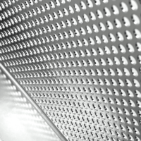 Plateau de cuisson perforé en acier inoxydable industriel avec rebord - Plateau personnalisé pour déshydrateur alimentaire et équipement de transformation alimentaire