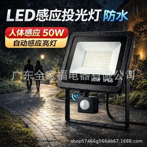 <b>Led</b> Flood <b>Light</b> 50W Ip66 Cob Chip Wall Mount With <b>Motion</b> <b>Sensor</b> Outdoor Lighting - Product Image 5