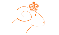 Ningbo Lamb Trading Co., Ltd. logo