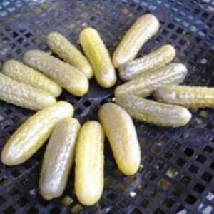 Légumes en solution de saumure Cornichons conservés avec du sel - Product Image 1