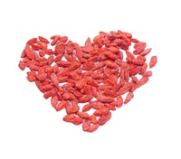 Groothandelsprijs OEM Natuurlijke Smaak Chinese Wolf Berry Rode Goji Gedroogd Fruit Product