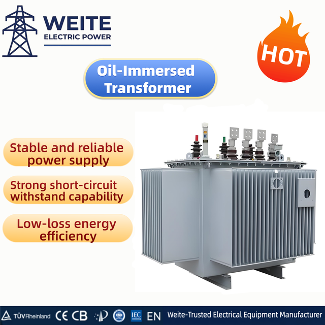 100kVA 250kVA 500kVA 1000kVA Oil Immersed Transformer 10kV to 380V 400V Three Phase S11 CE for Distribution System