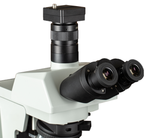 กล้องจุลทรรศน์สแกนเนอร์ทางพยาธิวิทยา BestScope BS-2084 ระบบโฟกัสอัตโนมัติ แท่นปรับตำแหน่ง <span class=keywords><strong>XYZ</strong></span> แบบมอเตอร์ ระบบถ่ายภาพความละเอียดสูง - Product Image 3