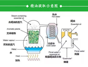 Sıcak satış fabrika kaynağı <span class=keywords><strong>Krill</strong></span> yağı kaliteli <span class=keywords><strong>Krill</strong></span> yağı - Product Image 2