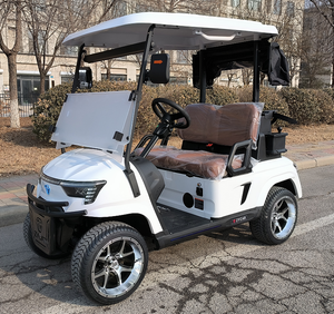 Carrito de Golf con Batería de Litio de Diseño Nuevo 2025 en Venta, Club 48V, Precio de Carrito de Golf de 2 Plazas - Product Image 1