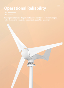Bon prix, éolienne verticale 1000W 12V 24V, énergie alternative, générateur éolien pour la maison et les zones à faible vitesse de vent - Product Image 4