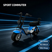 60V 2000W Rear Drive Electric Motorcycle Max Speed 60km/h Hydraulic Disc Brake Adult Electric Scooter