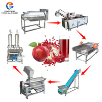 Fabrieksmatige RVS 304 Fruit- en Groente- (granaatappel) was-, schil- en ontpitmachine 0,5t/uur