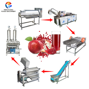 Ligne de traitement des grenades en usine, machine de lavage, de pelage et de dénoyautage des grenades pour usage commercial - Product Image 2