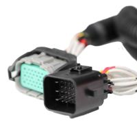 Cable de Extensión de Alimentación IEC C13 C14 Personalizado, 1.0mm 1.5mm, Opciones de Conector en Ángulo, para Centro de Datos, Rack de Servidores, PDU, PVC