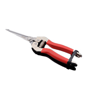 Tijeras de podar dobles de pino de 85 mm, de acero inoxidable, con cabeza recta y estructura de mariposa, herramienta de jardinería para recolección de frutas y uvas - Product Image 3