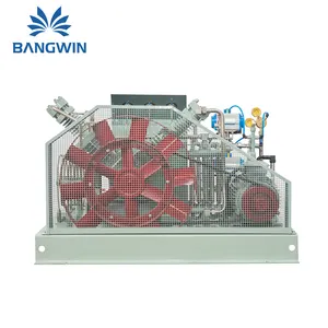 Bangwin 200 Bar Low Consumption Oil Free N2 O2 Gas Booster Oxygen Nitrogen Compressor For Natural Gas