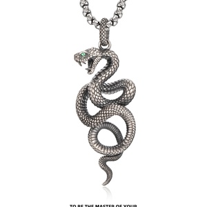 Collar con Colgante de Serpiente Vintage, Acero Inoxidable, Joyería Gótica Punk, Amuleto Retro con Serpiente, Collar de Moda para Hombre y Mujer - Product Image 5