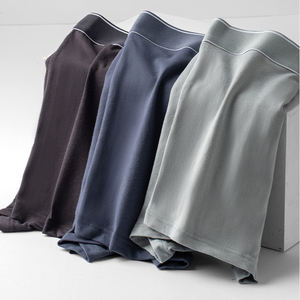 Fabricant de sous-vêtements en soie glacée de couleur unie sans couture pour garçons hommes été boxer slips jeunesse couleur unie sous-vêtements respirants - Product Image 1