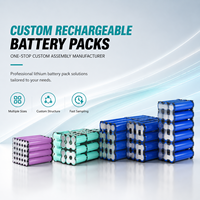 Fabricant de solutions de batteries au lithium personnalisées, pack de batteries Li-ion LiFePO4 12V-72V avec cellules de qualité supérieure, BMS et conception de connecteurs