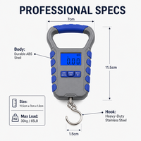 Balance de pêche numérique étanche rechargeable Type-C en ABS, 30 kg/65 lb, haute précision, balance électronique suspendue, écran LCD rétroéclairé de 2,5 pouces