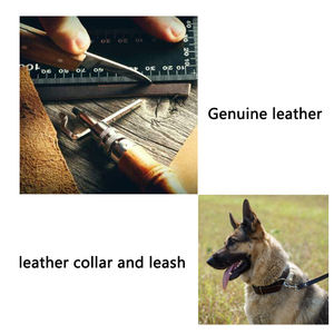 Entrenamiento para correr Correa de cuero real Premium para mascotas Correa de entrenamiento y para caminar Correa trenzada para perros - Product Image 3